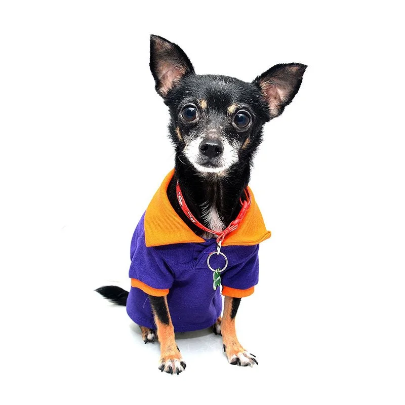 Bienvenido a marina dog tenerife 2