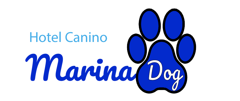 Marina dog Tenerife